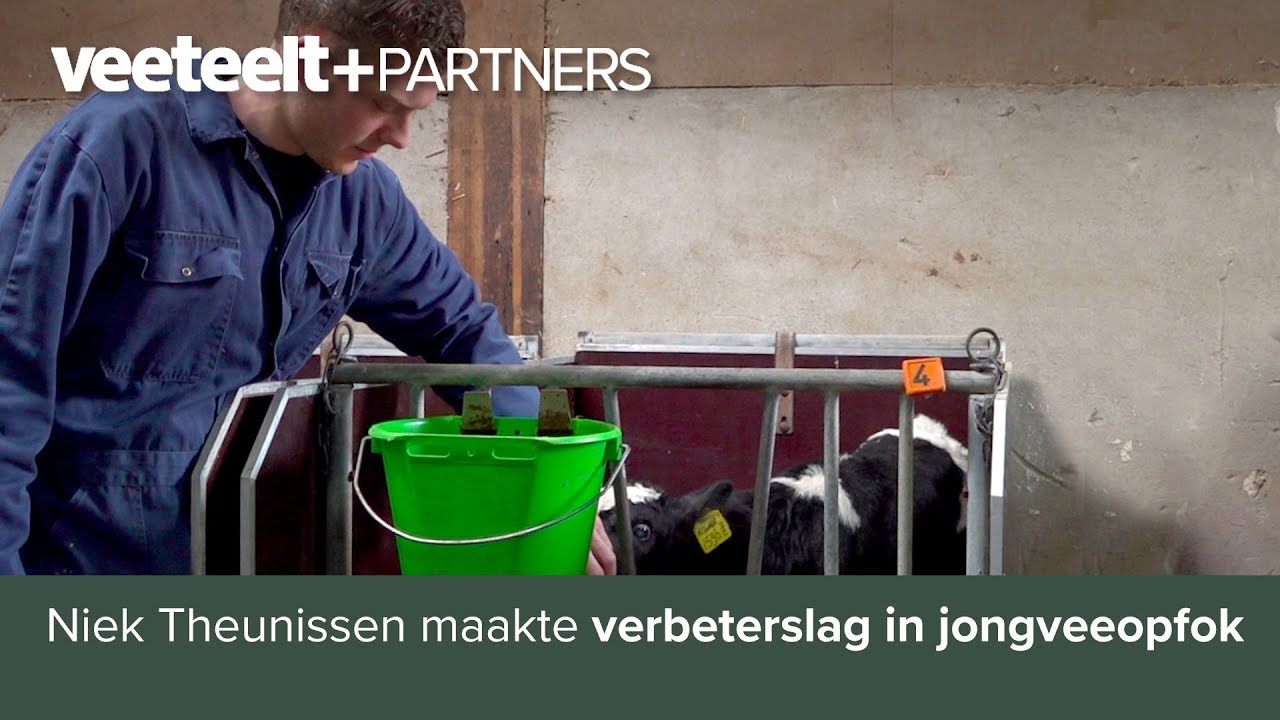 Niek Theunissen maakte verbeterslag in jongveeopfok