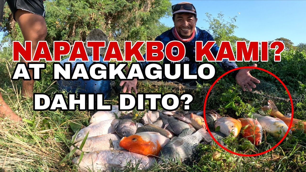 Napatakbo kami dahil nagkagulo sila?