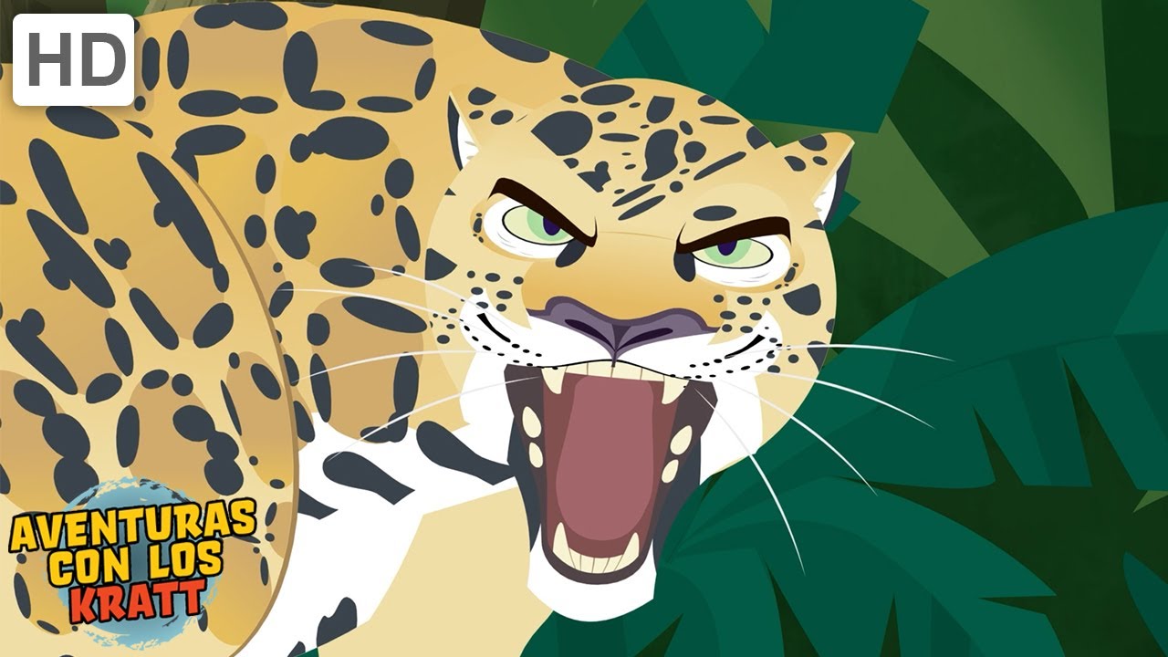 Criaturas del Caribe | Monos, tiburones + más! [episodios completos] Aventuras con los Kratt