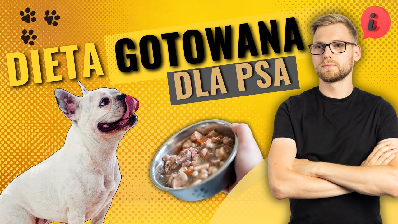 Co gotować psu ?