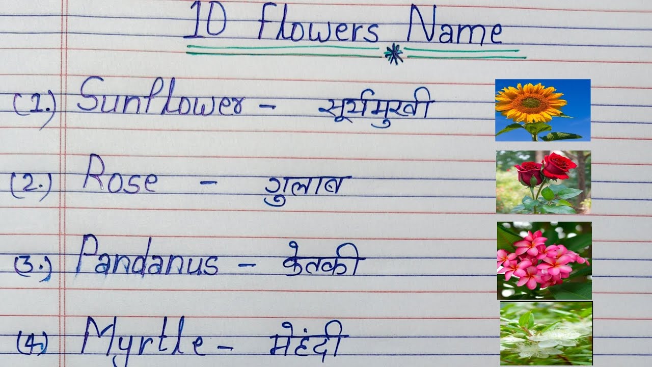 10 फूलों के नाम।। Flowers Name।। Flowers Name in English।। Flowers Name in English and Hindi 