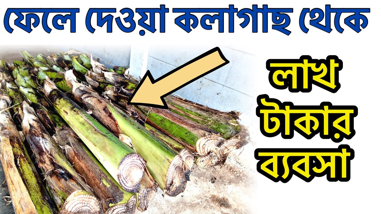 Banana Fibre Making | কলা গাছের ফাইবার তৈরি। Banana Fiber Product 