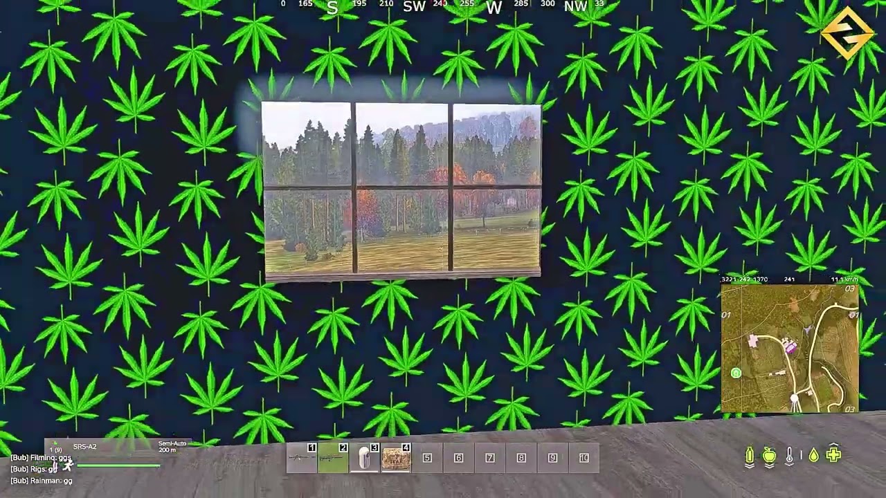 DayZ Apes Wipe