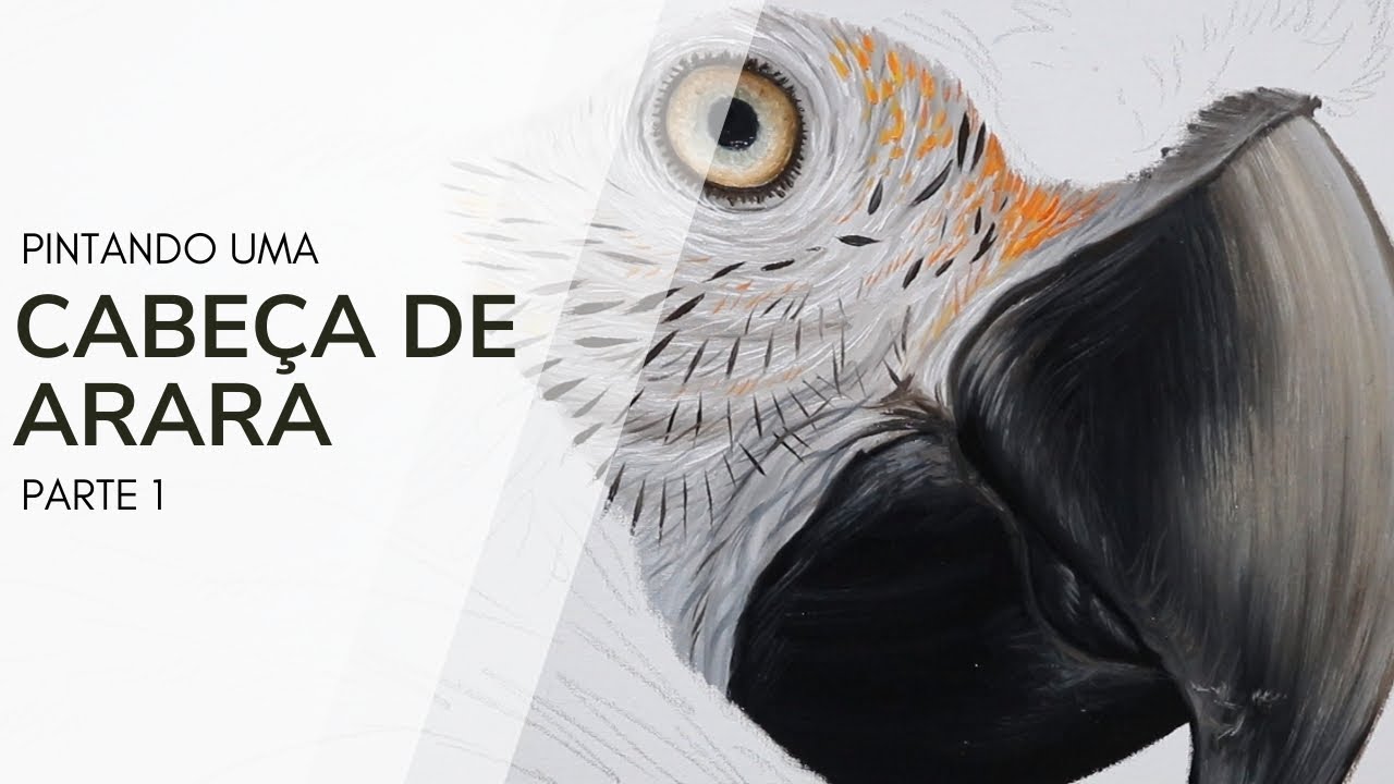 Como pintar uma cabeça de arara - Parte 1