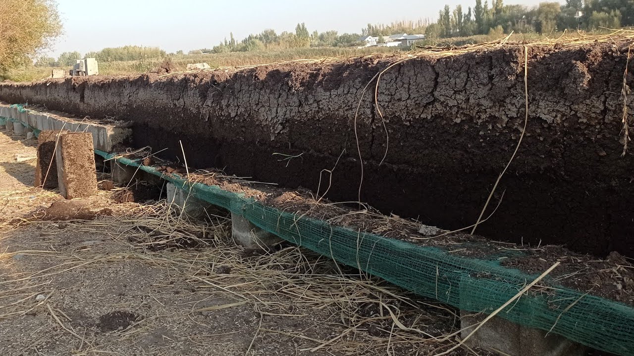 Сөөлжанды кышкыга даярдоо