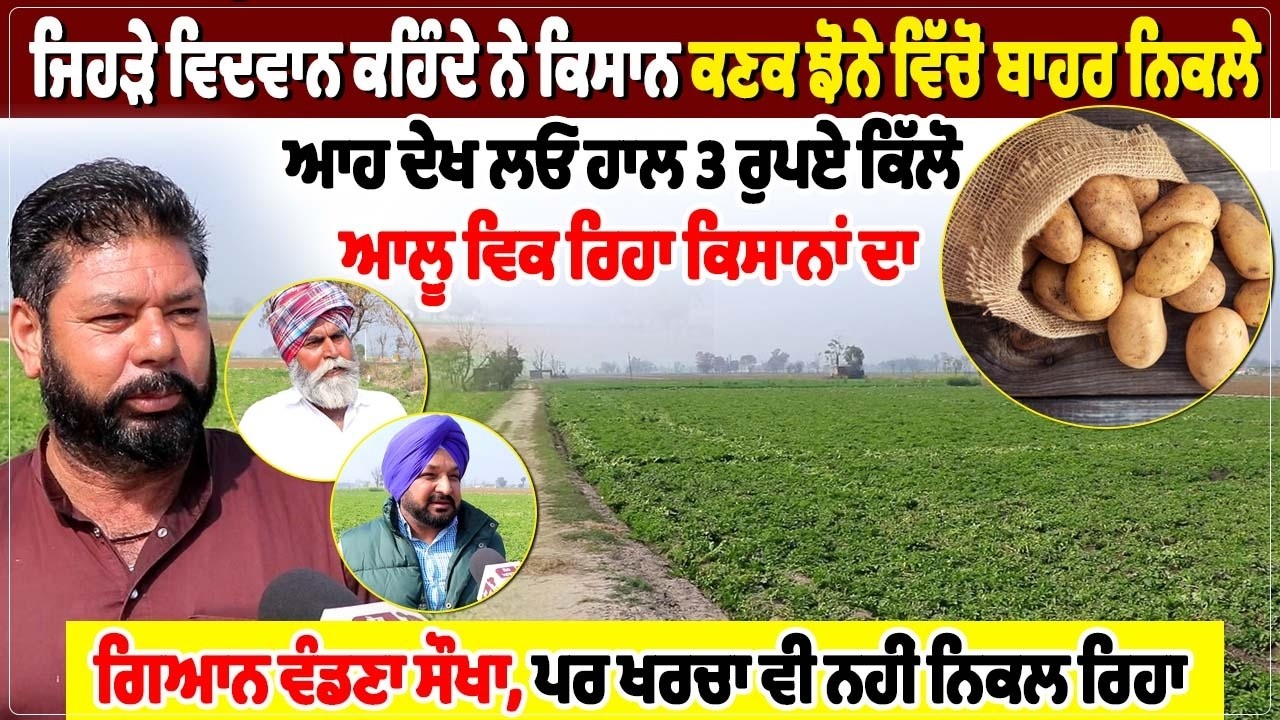 ਜਿਹੜੇ ਵਿਦਵਾਨ ਕਹਿੰਦੇ ਨੇ ਕਿਸਾਨ ਕਣਕ ਝੋਨੇ ਵਿੱਚੋਂ ਬਾਹਰ ਨਿਕਲੇ,  ਆਹ ਦੇਖ ਲਓ ਹਾਲ 3 ਰੁਪਏ ਕਿੱਲੋ ਆਲੂ