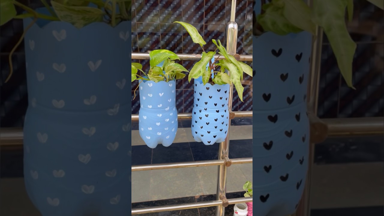 Reusing bottle to make beautiful hanging planters ♻️😍#youtubeshorts #shorts #trendingshorts