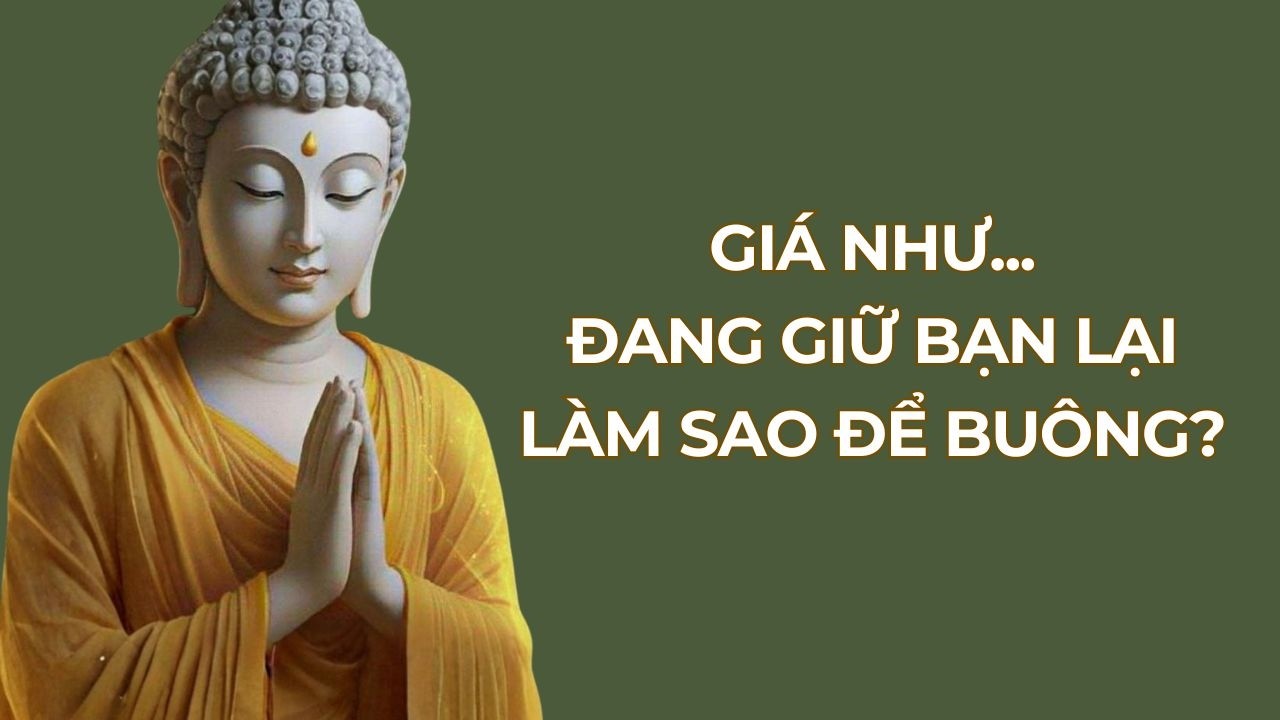 Vì Sao Ta Mắc Kẹt Trong “Giá Như…”? Con Đường Buông Trong Phật Pháp