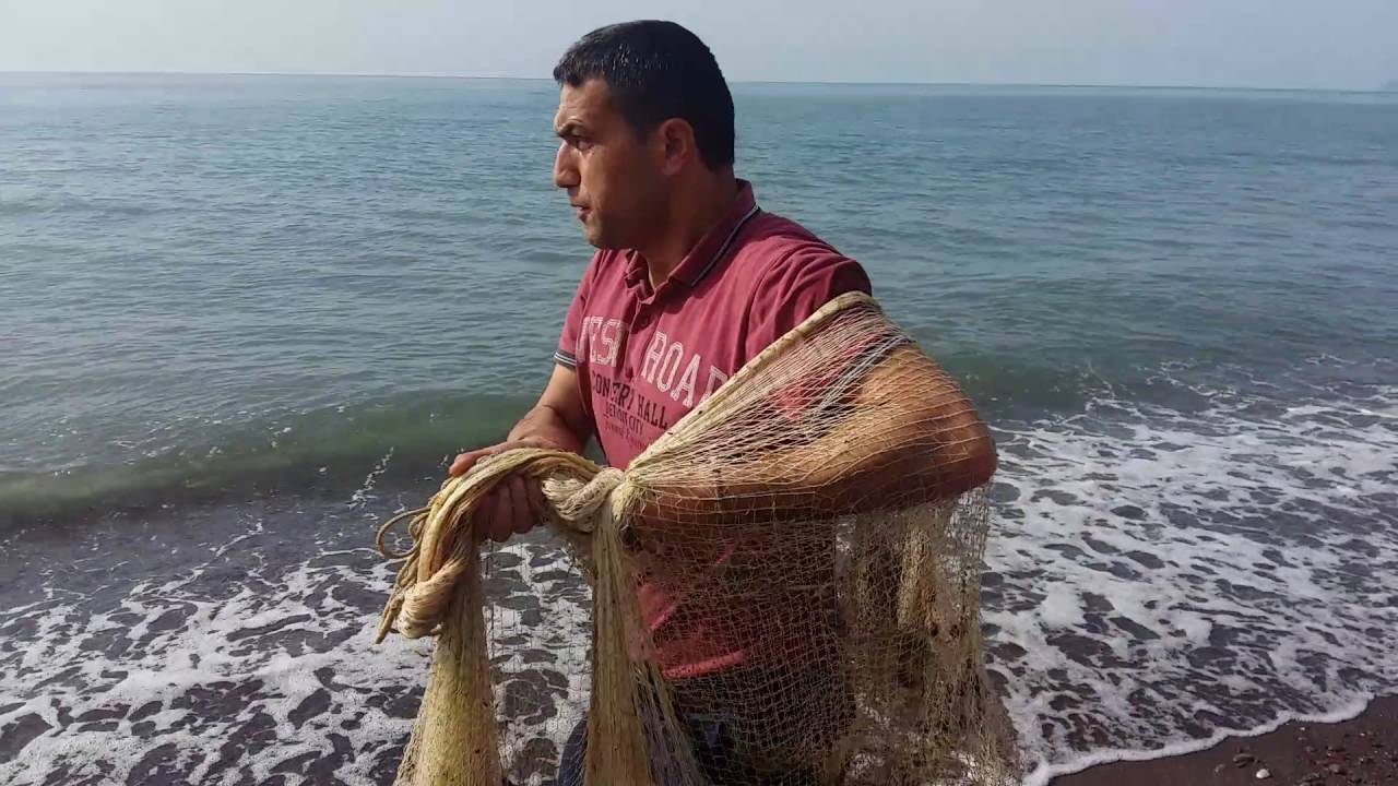 Serpme ağ ile barbunya yakalıyor uz Alaplı