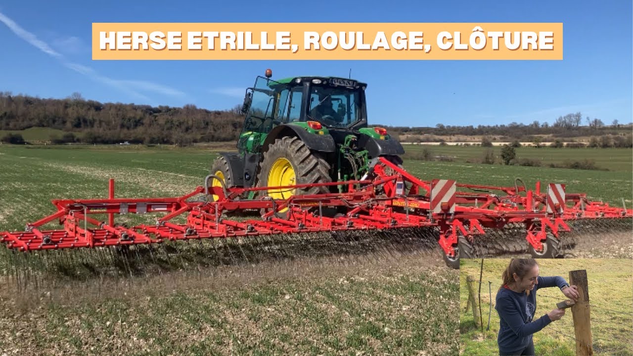 ⚡️Ça bouge à la ferme ! 💨 Herse étrille, roulage & barrage en action !