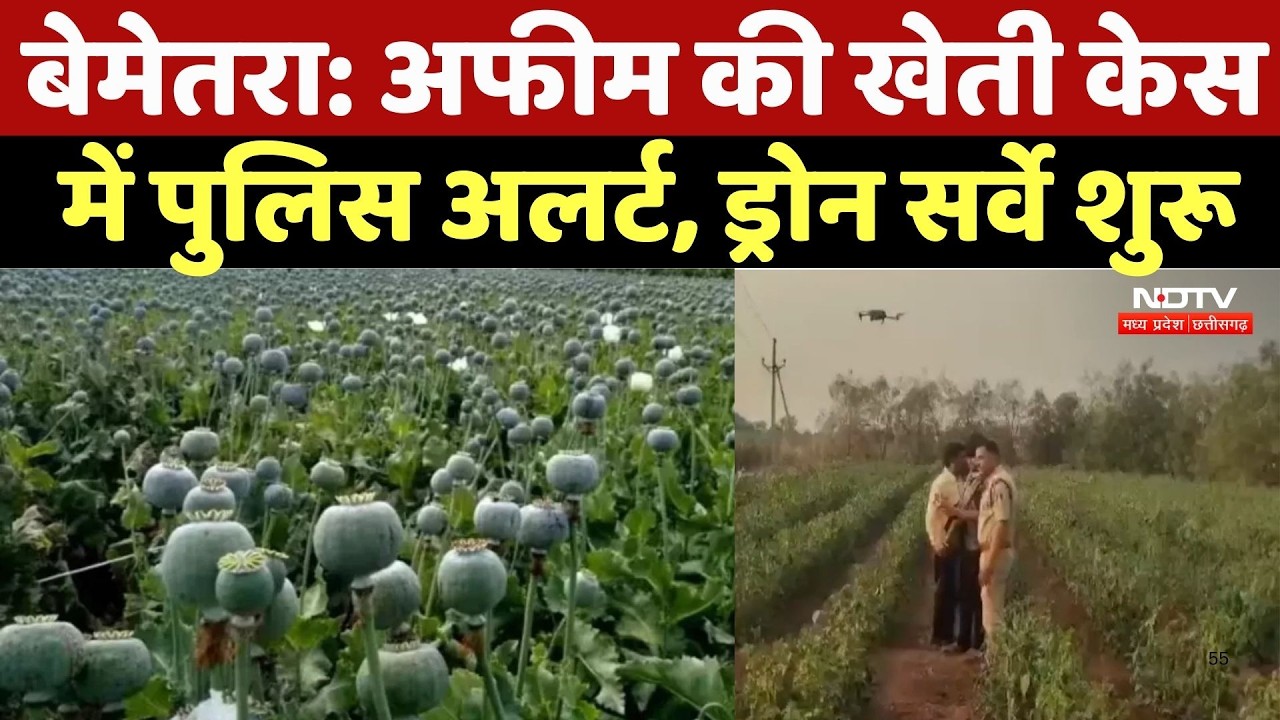 Opium Farming Case: Police alert in opium cultivation case, drone survey begins | Durg Case | Bem...