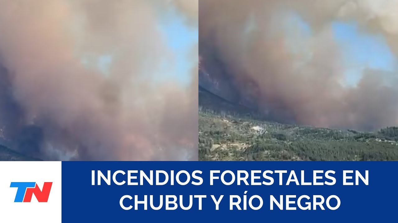 Alerta en Chubut: un incendio forestal obligó a evacuar vecinos y turistas en Puerto Patriada