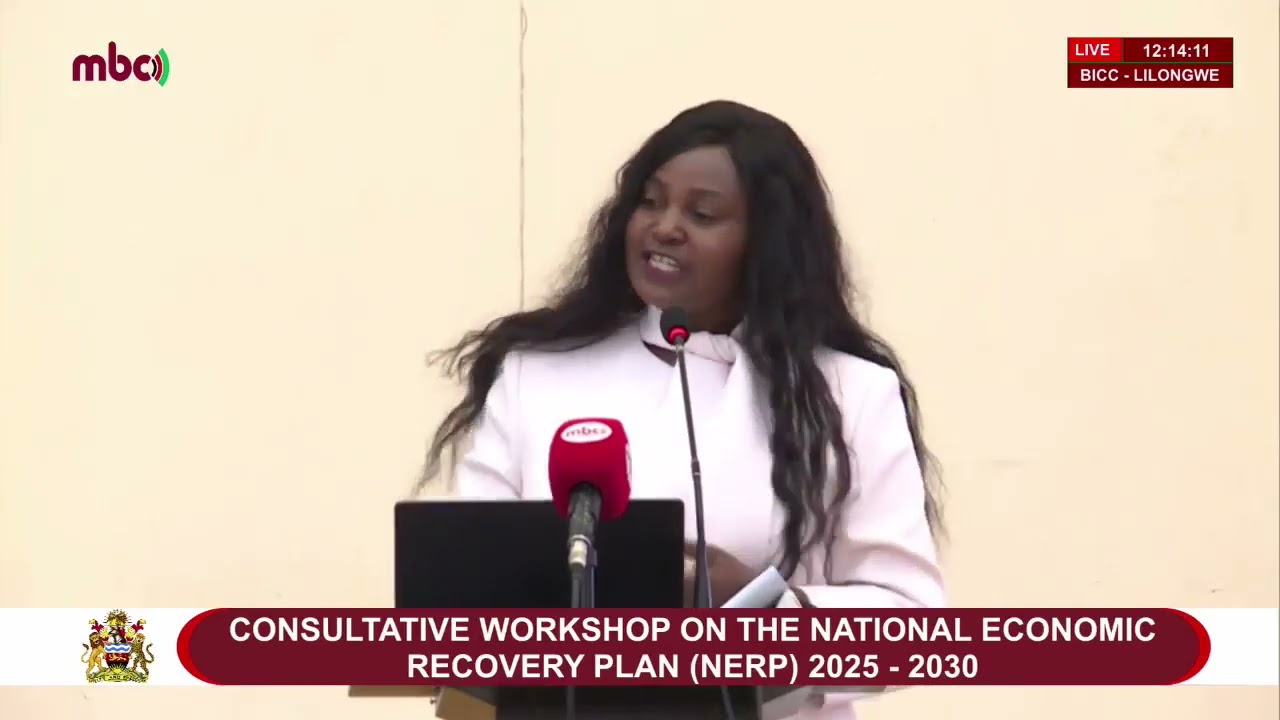 CONSULTATIVE WORKSHOP ON THE NATIONAL ECONOMIC RECOVERY PLAN (NERP) 2025 - 2030
