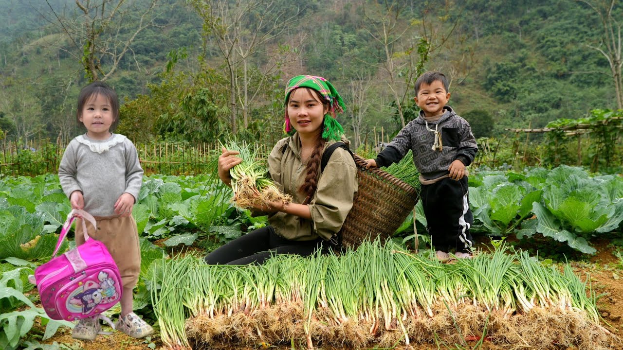 Harvesting green onions from our garden to sell at the market - Cooking with my little daughter