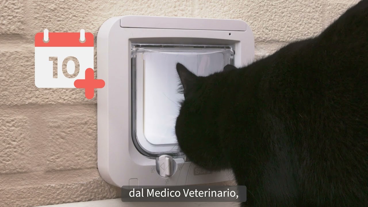 Gattaiola con lettore di microchip SureFlap™