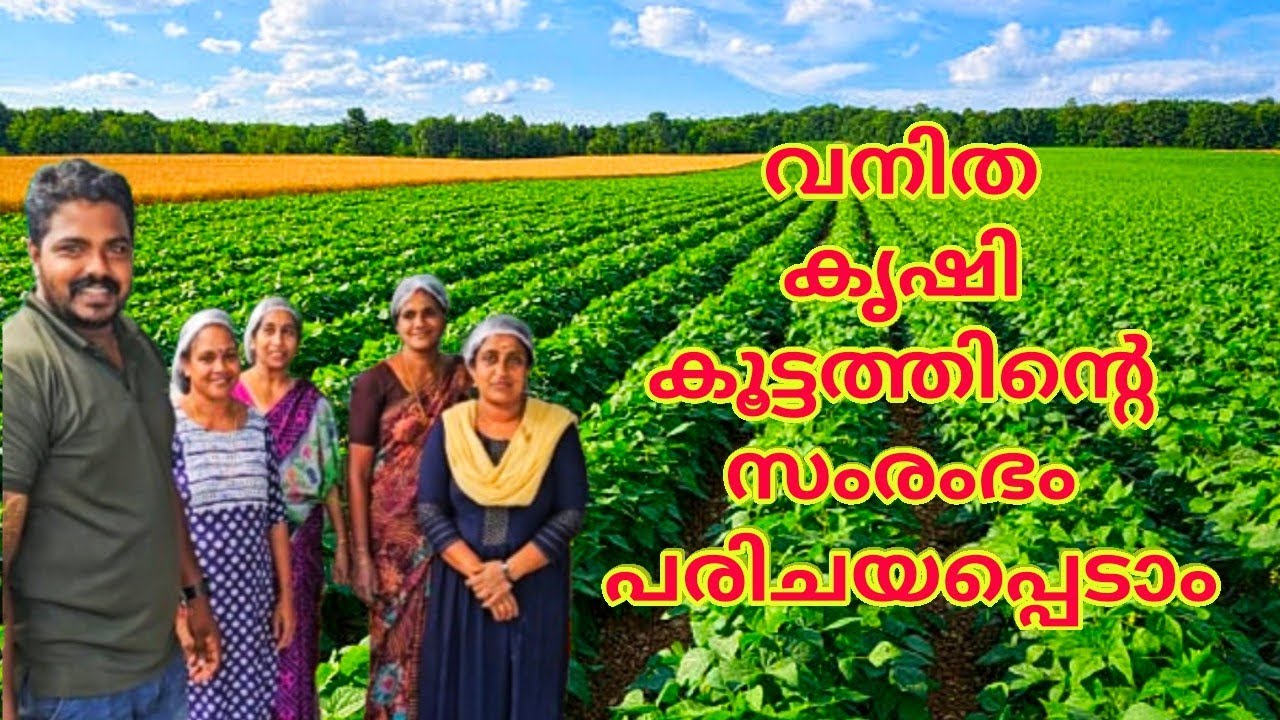 വനിത കൃഷി കൂട്ടത്തിൻ്റെ സംരംഭം പരിചയപ്പെടാം
