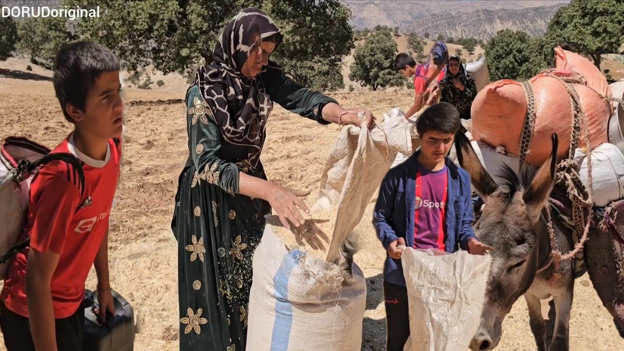 🌾 Collecting Straw for the Livestock | A Day in Nomadic Family Life 🐑