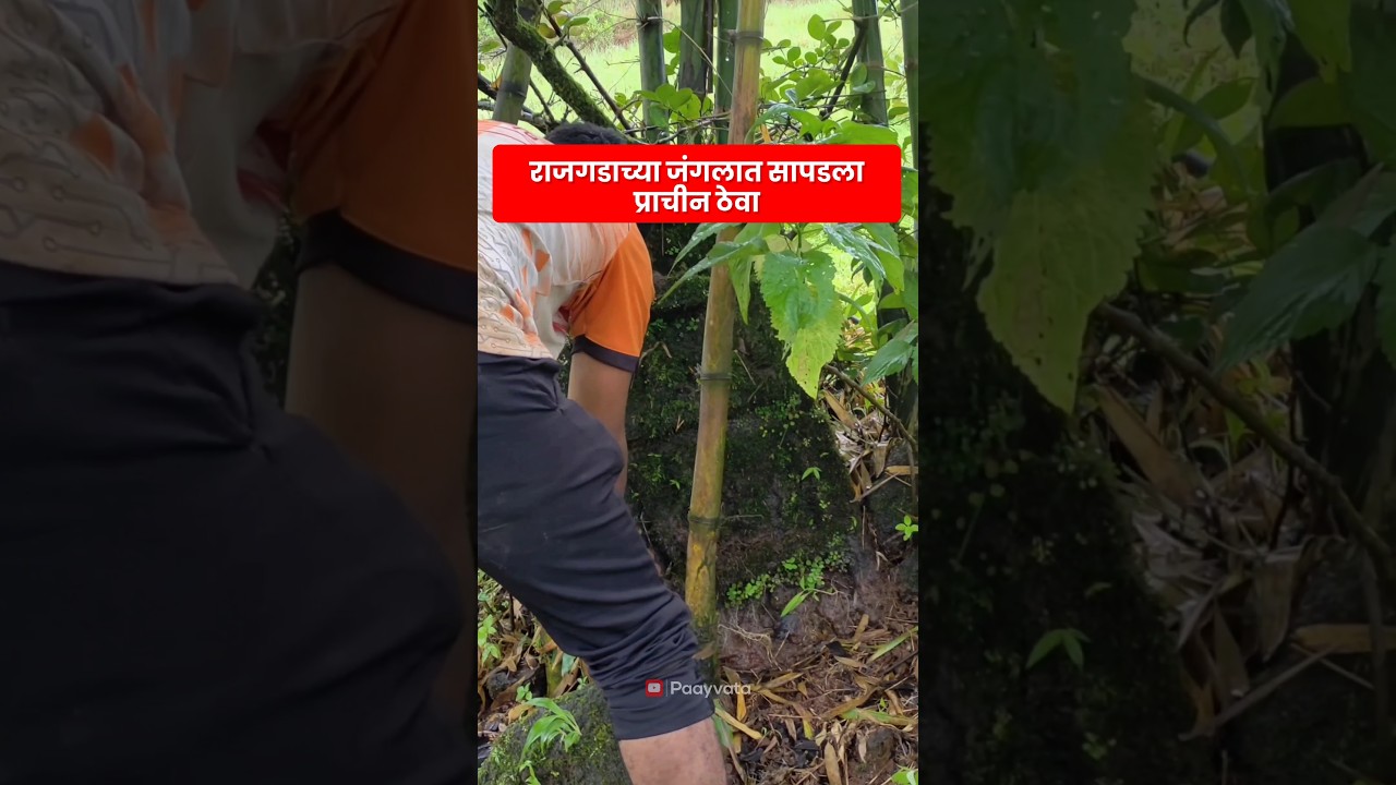 राजगडाच्या जंगलात सापडला दुर्मिळ ठेवा #rajgadfort #payvata #marathi #history