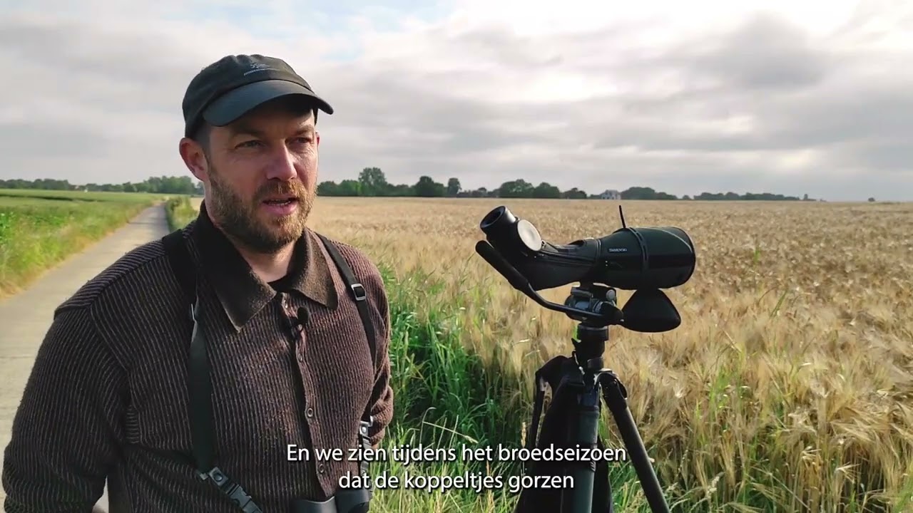 Onderzoek naar het broedsucces van akkervogels