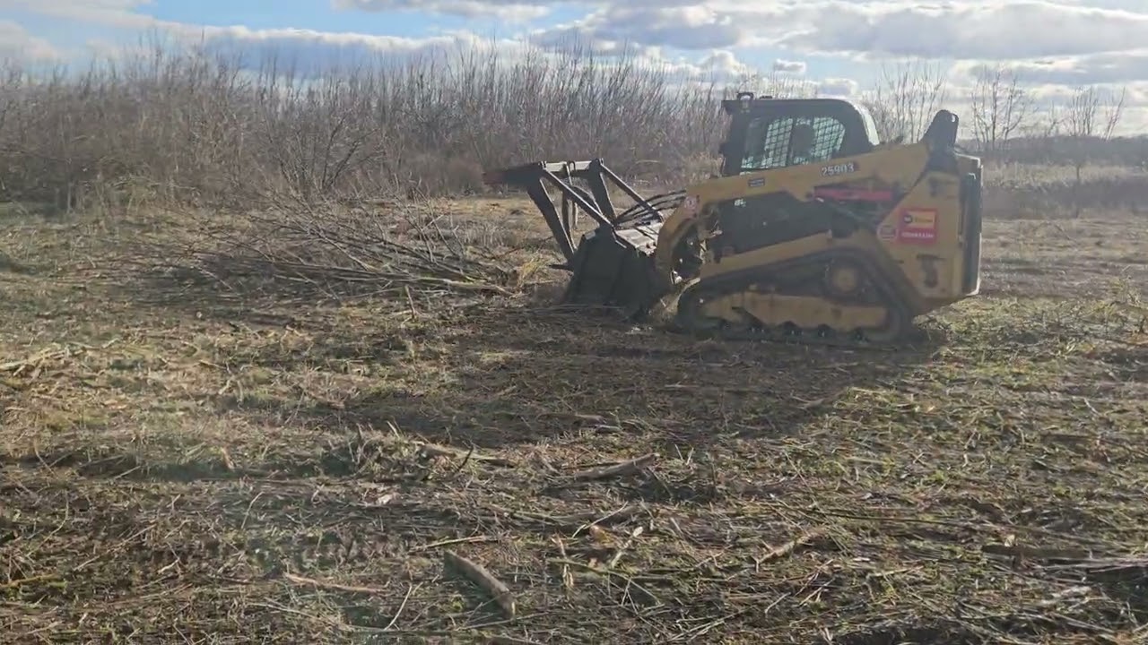 Caterpillar 259D