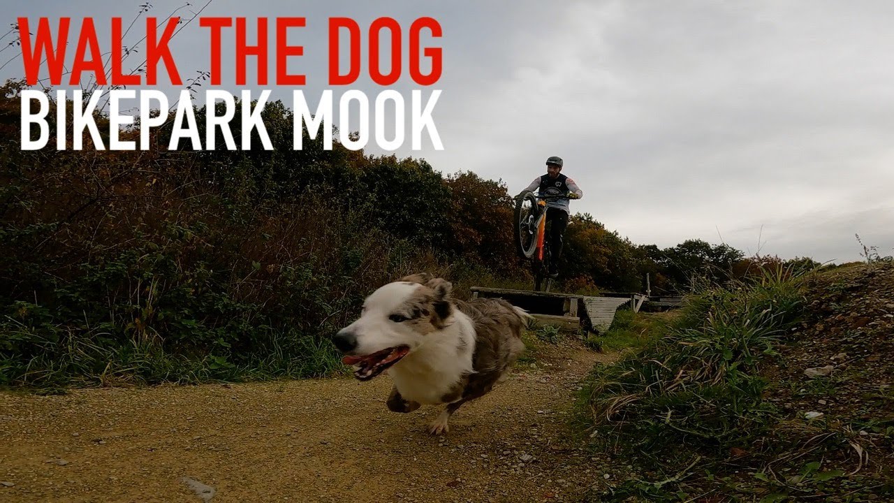 Walk the Dog  - Bikepark Mook - Trail dog video