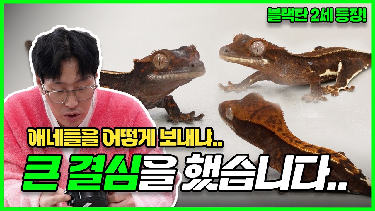 이제는 보내주려고 합니다.. 