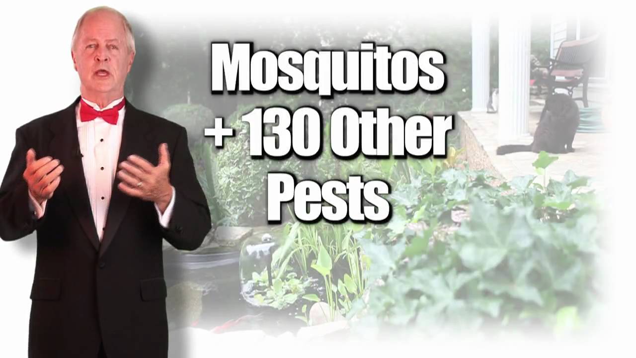 Mosquito Spray Service - Tuxedo Mosquito Control