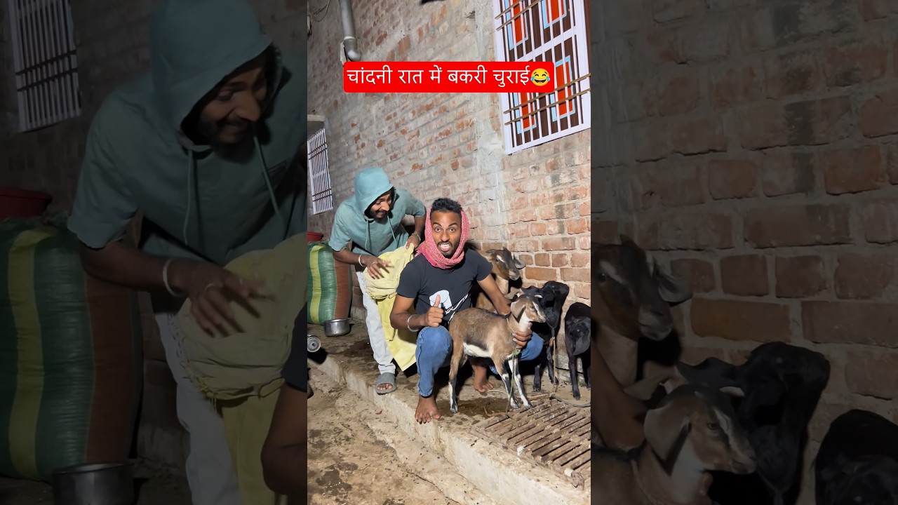 चांदनी रात में😂 #comedy #funny #memes #foryou #magahi_king7 #shorts #trending #viral #bhojpuri #joke