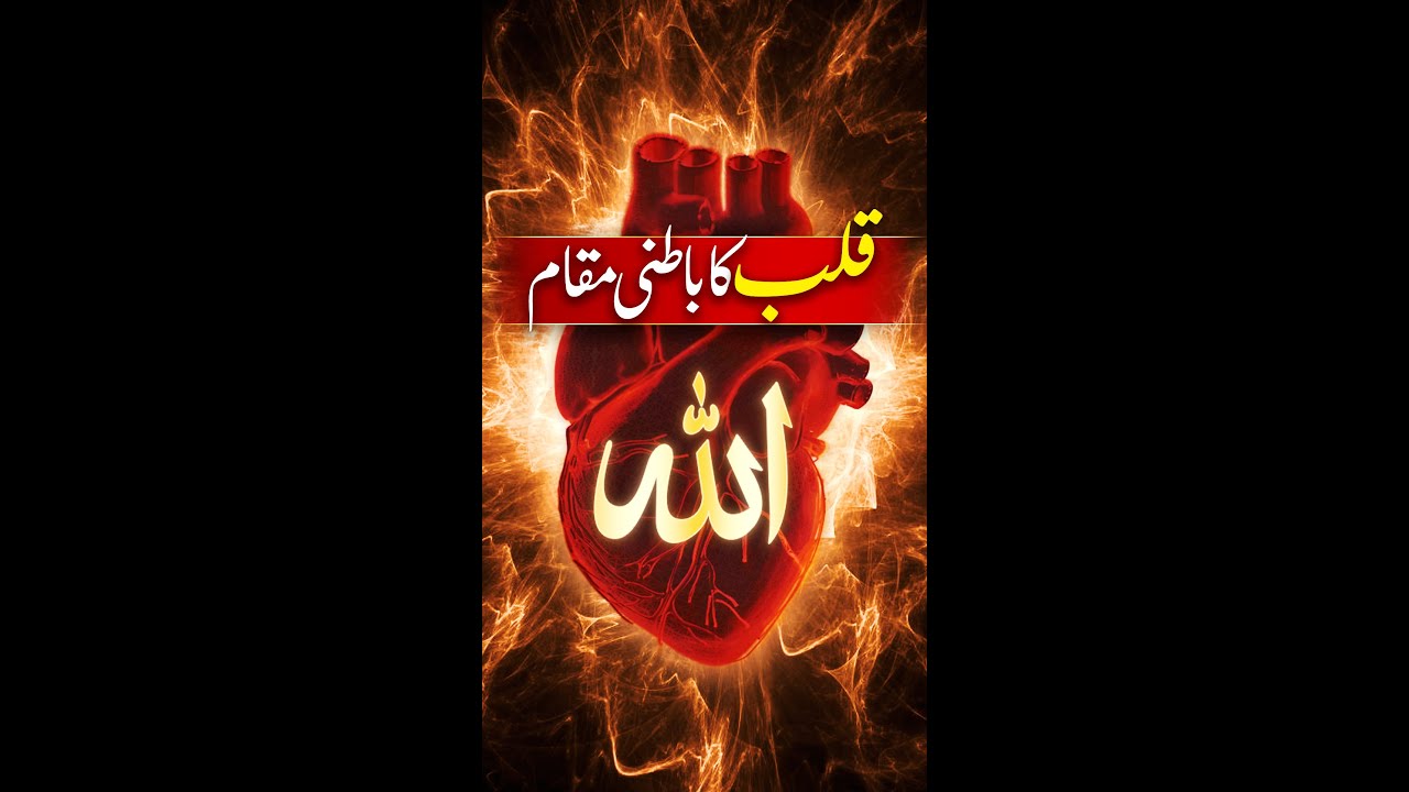 Qalb Ka Batin Mein Maqam #shorts