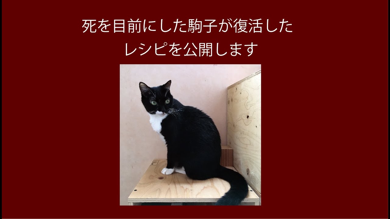 死の目前から回復した！　駒子のスペシャルメニューレシピ公開