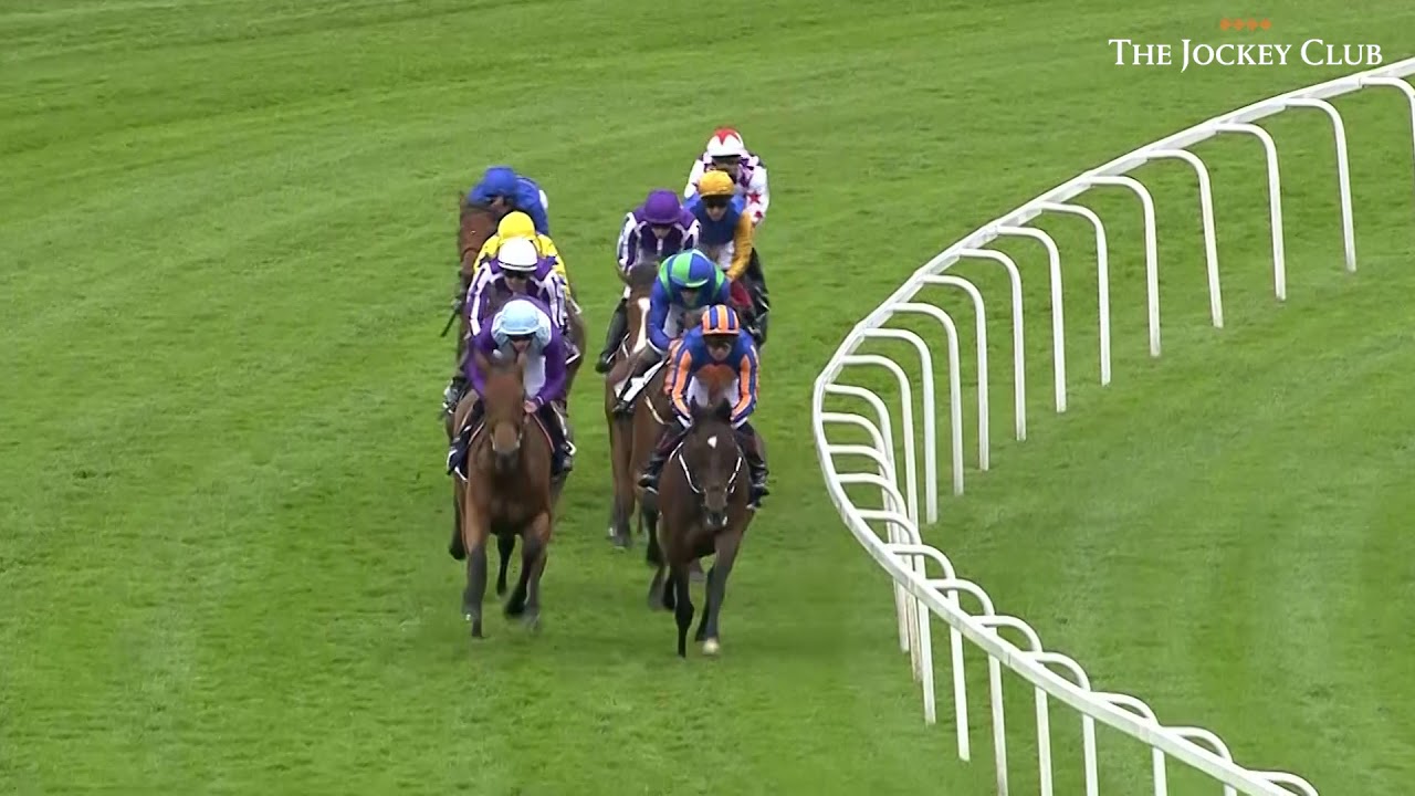 Minding - The 2016 Oaks