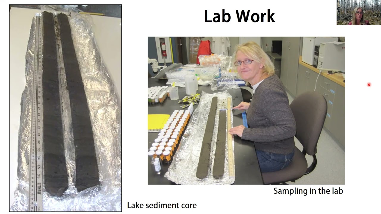 Dr Megan Walsh, Combining Paleoecology, Geology, and Archaeology