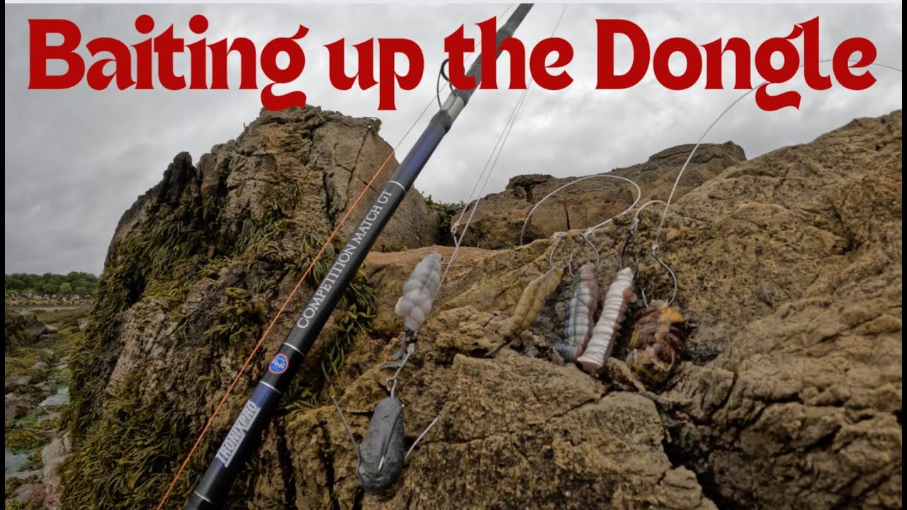 The Dongle rig - How to bait up