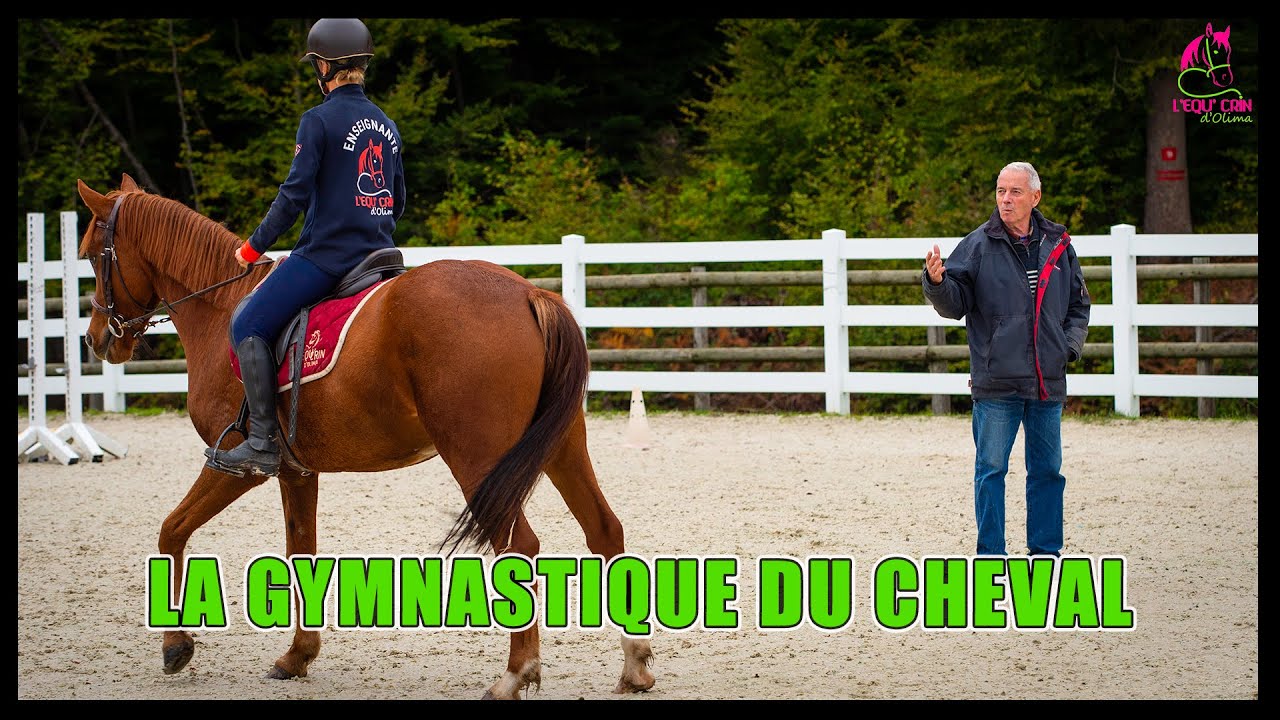 Antoine Bancaud - La Gymnastique du Cheval