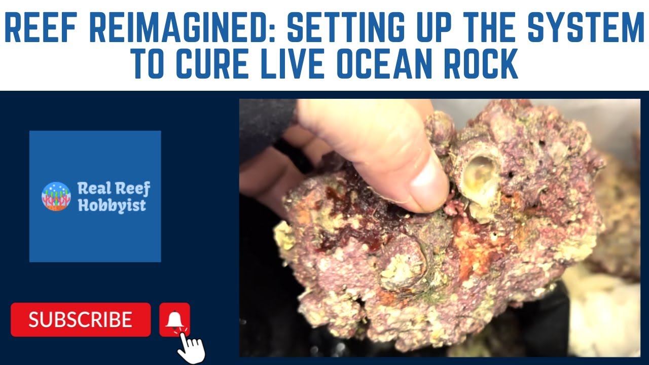 Reef Reimagined: Setting Up the System to Cure / Cycle Ocean Live Rock