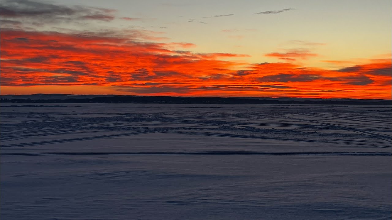 A Glimpse into the CFB Suffield Elk Management Hunt