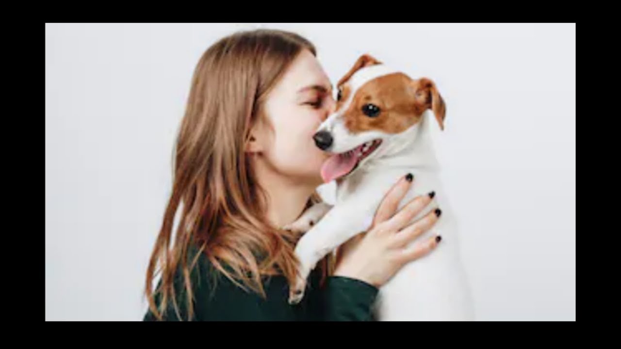 Responsible Dog Ownership Explained (by science)