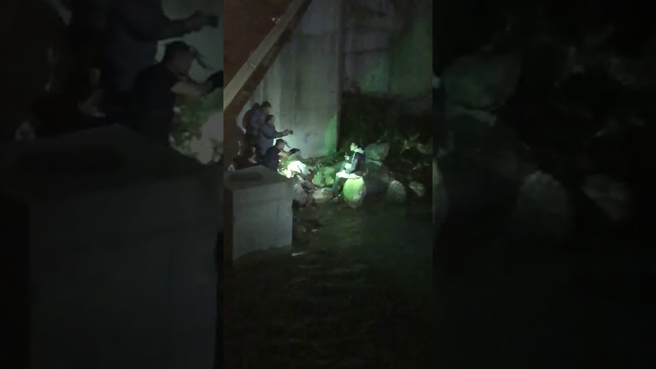 L'espectacular detenci&oacute; del pres fugat de la Comella