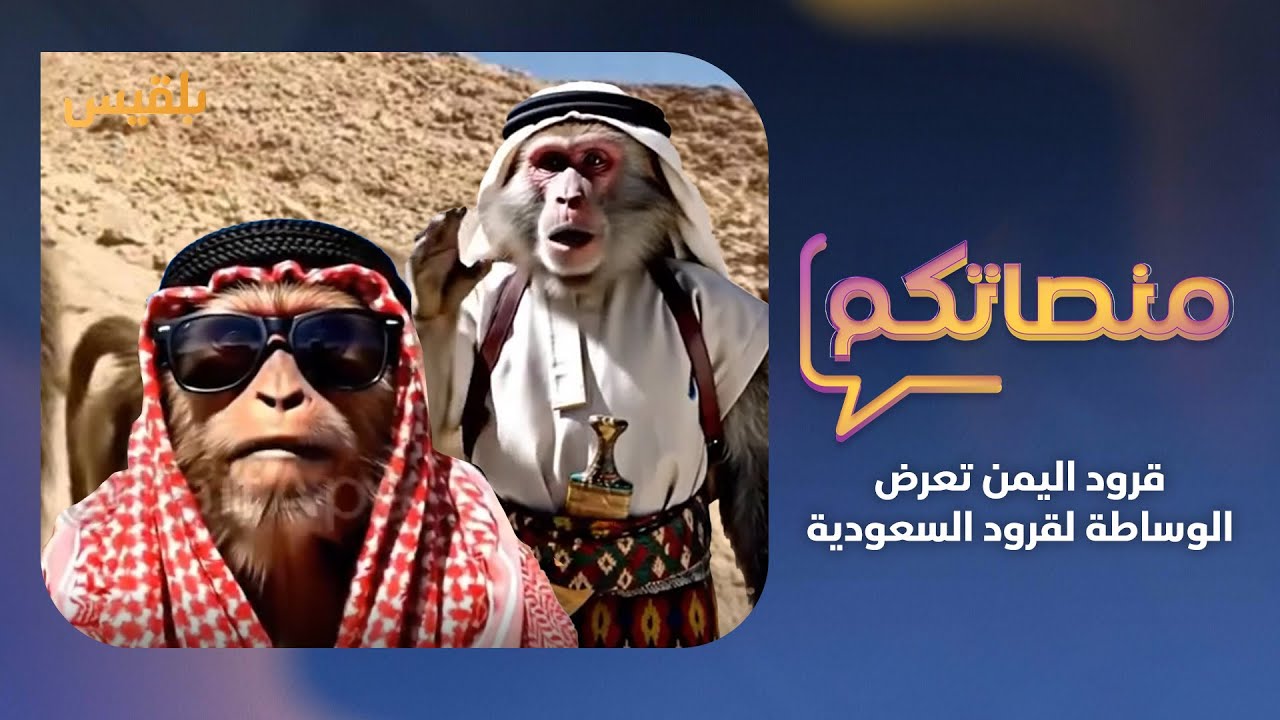 بعد احتدام الصراع بين قرود السعودية.. قرود اليمن تدخل على الخط وتعرض الوساطة.. ما القصة؟ | منصاتكم
