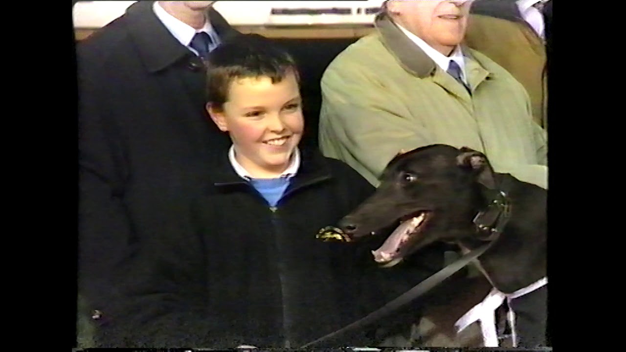 Greyhound View Episode 74