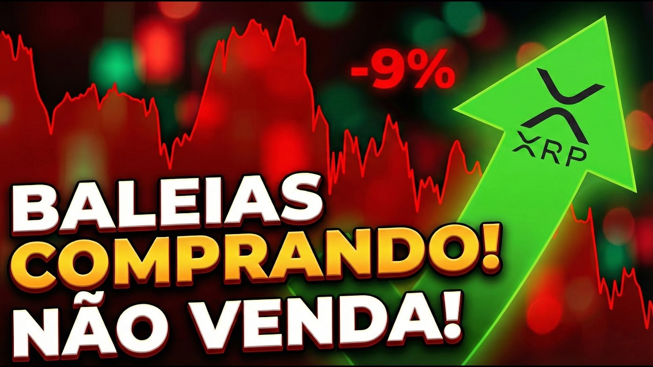 A Queda da XRP é uma Armadilha? Veja o que as Baleias Estão Fazendo!