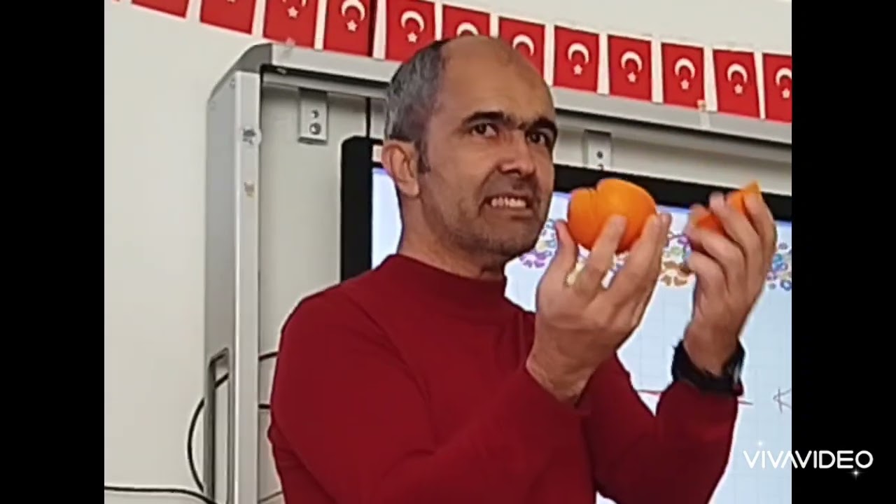Kesirler konusunu meyve kesip yiyerek işledik 