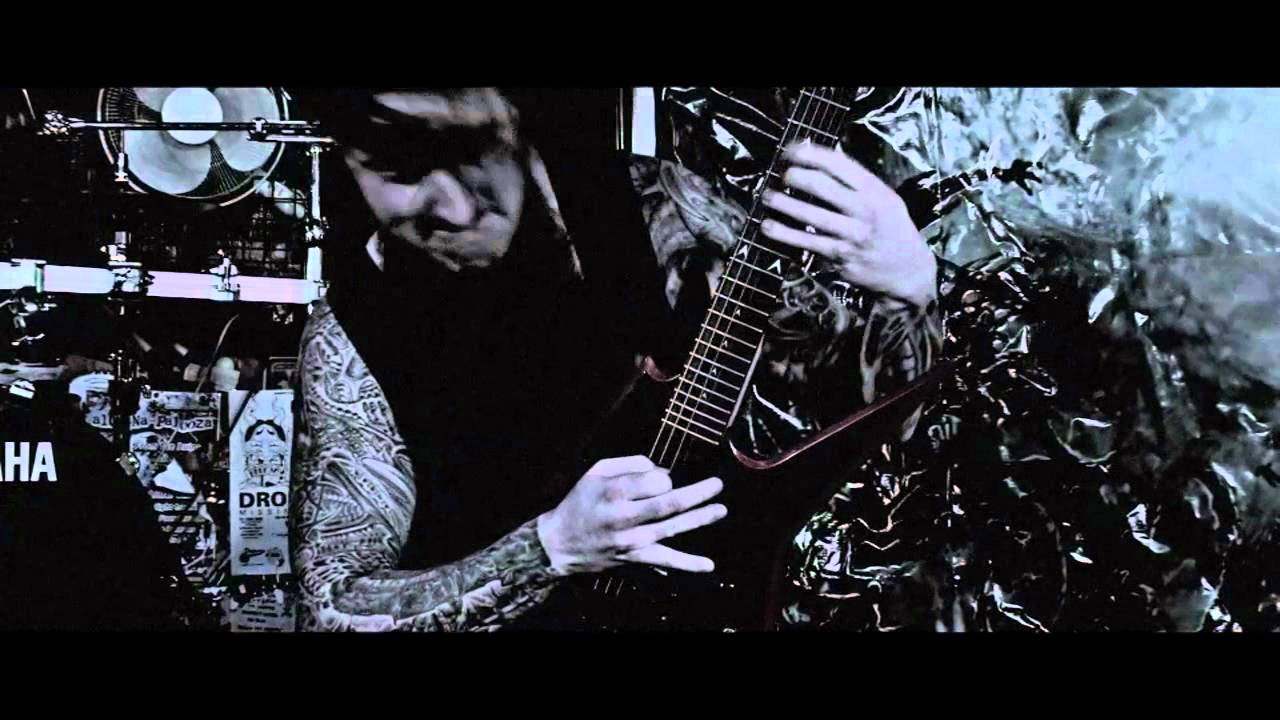 ENTRAILS ERADICATED - VIRALOCITY