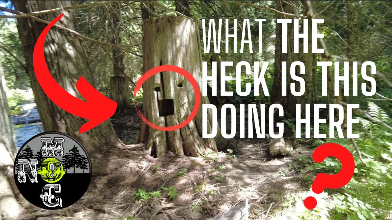 A place you will never see | Way out Montana part 2 | Mine shaft found | Erie Trees middle forest