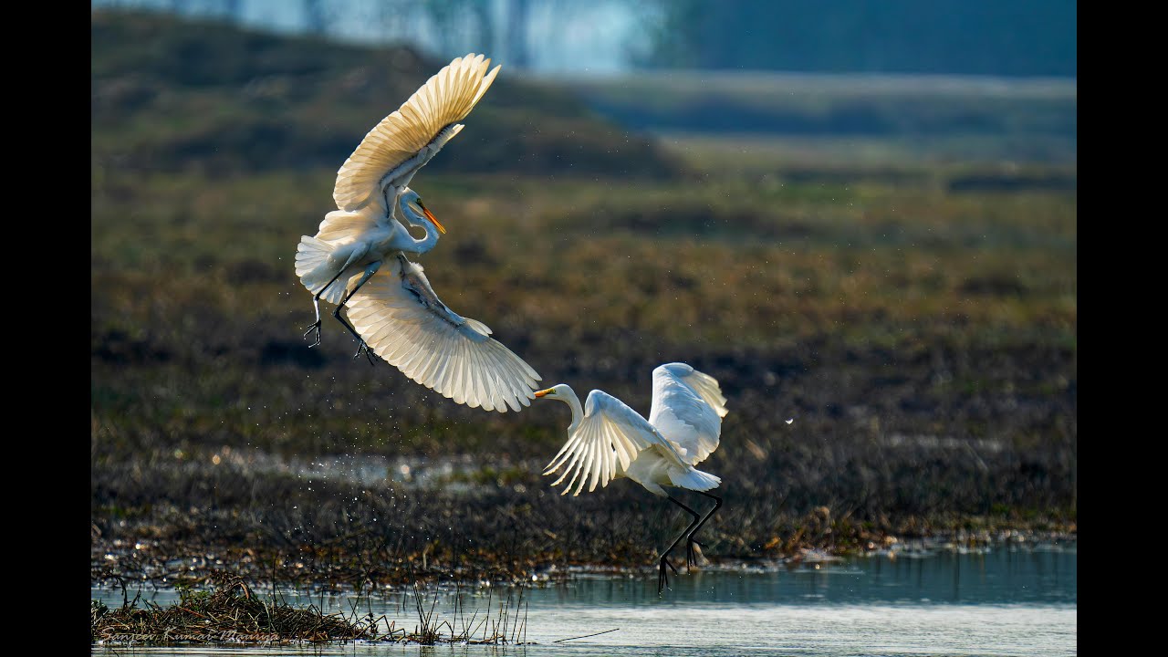 Le bal en silence : danse sur le piano, Christelle Bèche, Rémy Tatard. Dim 02.03.25, Sauzet.