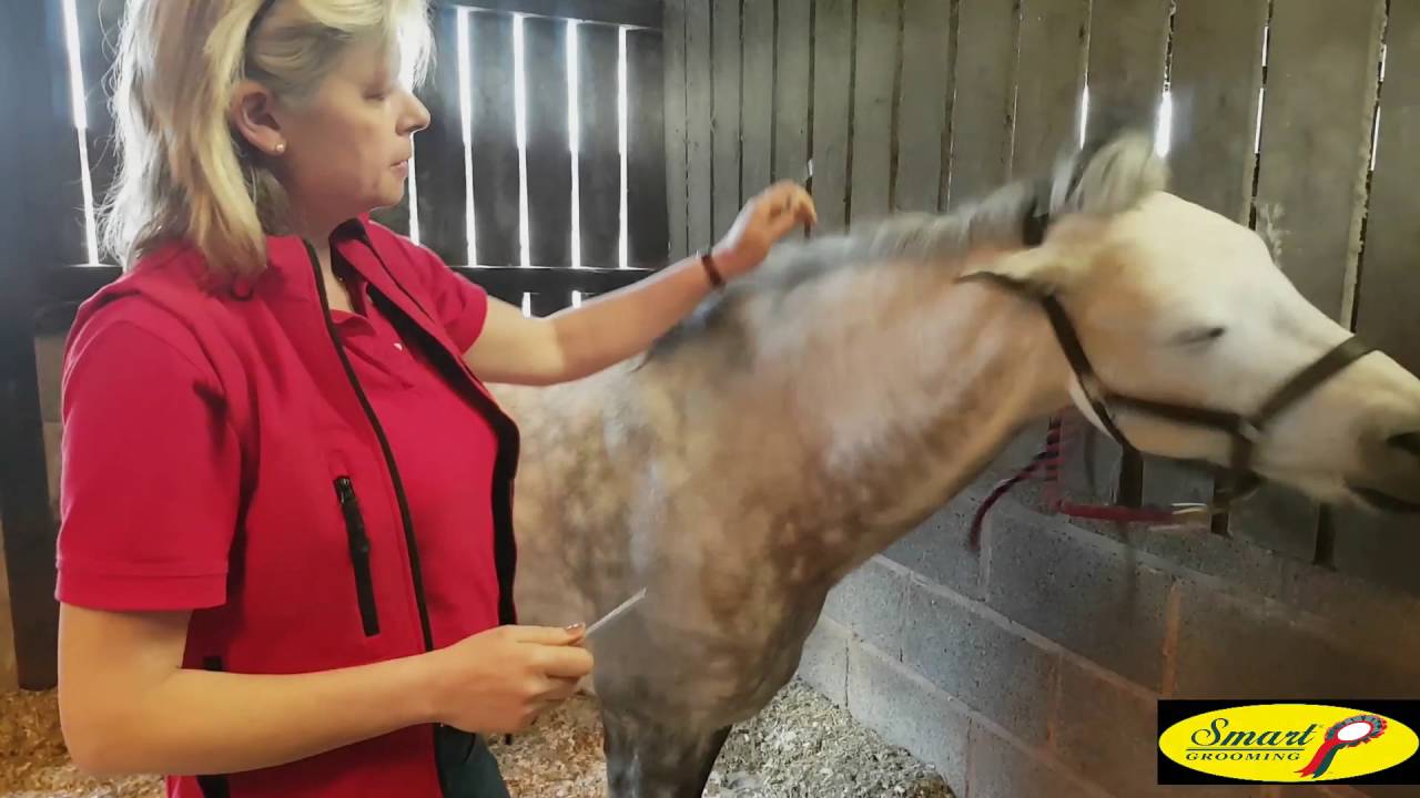 Humane mane pulling the smart way!