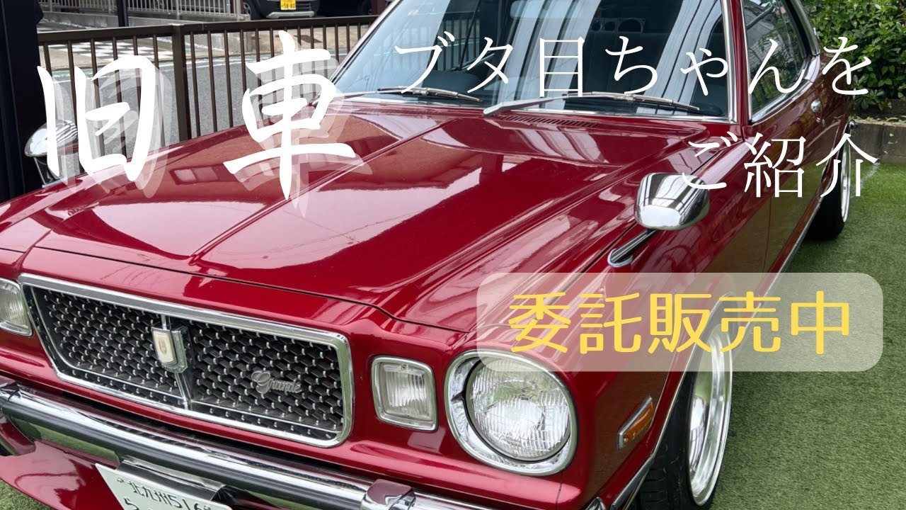 『愛車紹介』通称ブタ目ちゃん　名車トヨペットコロナマークⅡをご覧ください