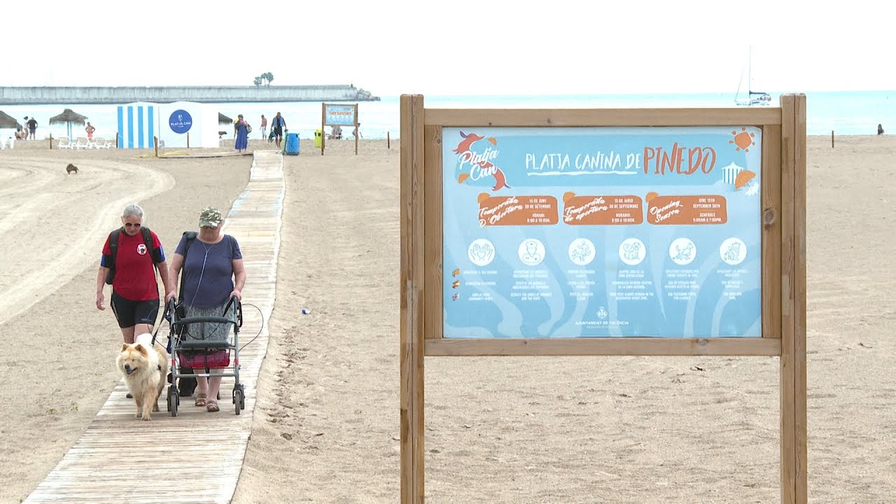 Ya está abierta la playa para perros de Pinedo, València