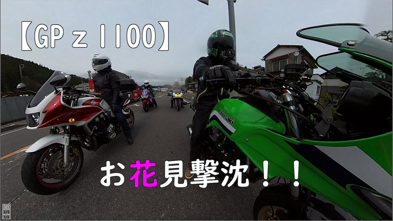 【GPz1100】お花見が違うお花見になった？！