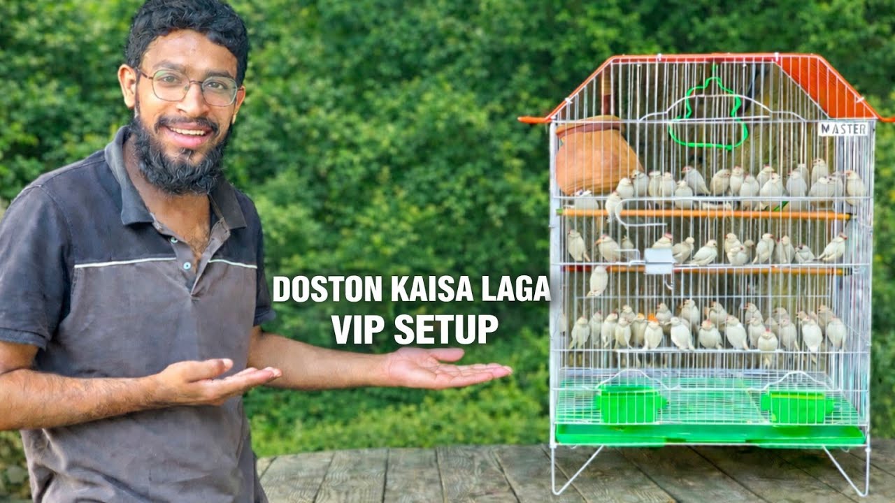 Doston kaisa laga VIP setup 🥳🥳🥰